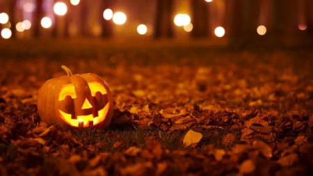 Wholloween Merch