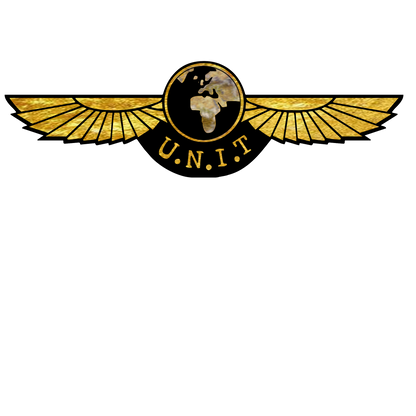Doctor Who  - Gold leaf effect UNIT Wings with UNIT Globe emblem on rear