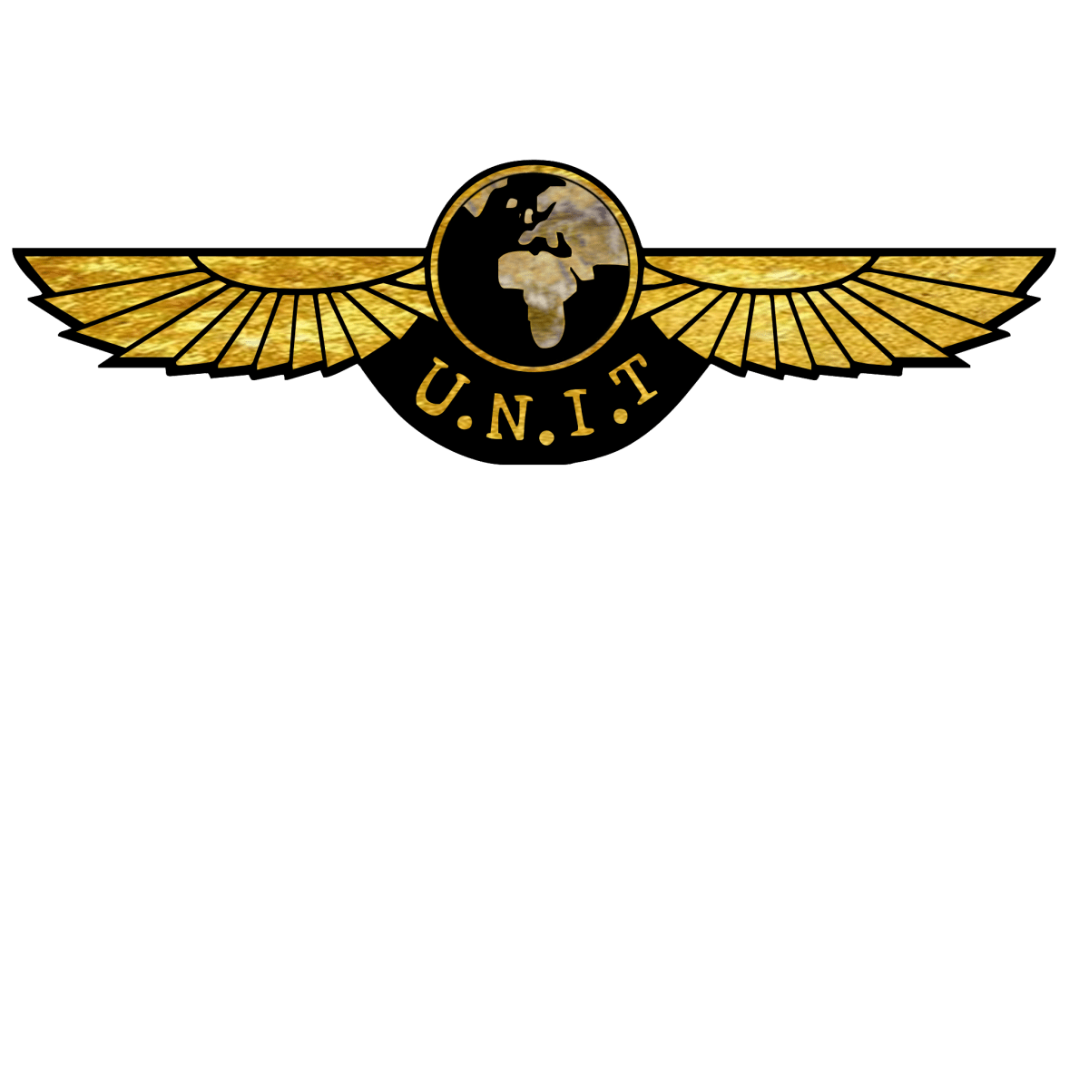 Gold leaf effect UNIT Wings T-shirt Mk II - soapbox169 - A Little Gift Shop