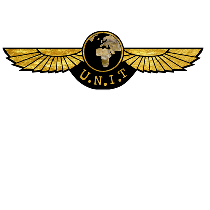 Gold leaf effect UNIT Wings T-shirt Mk II - soapbox169 - A Little Gift Shop